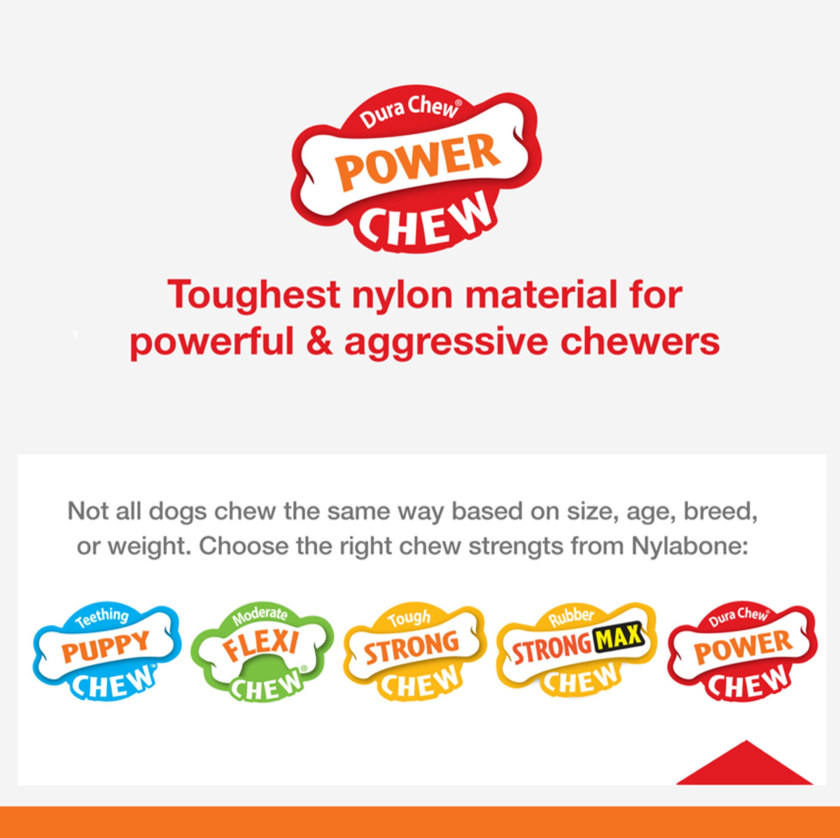 Flavor Frenzy Power Chew Triple Pack – Petite MJ's Pet Closet