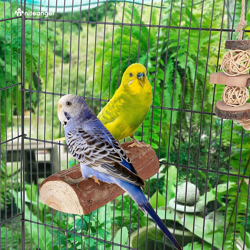 Wooden Platform Bird Perch – 2 Pack, 7" x 3" MJ's Pet Closet
