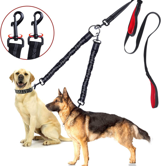 Dog leash and collar set with two dogs sitting next to it on a white background.