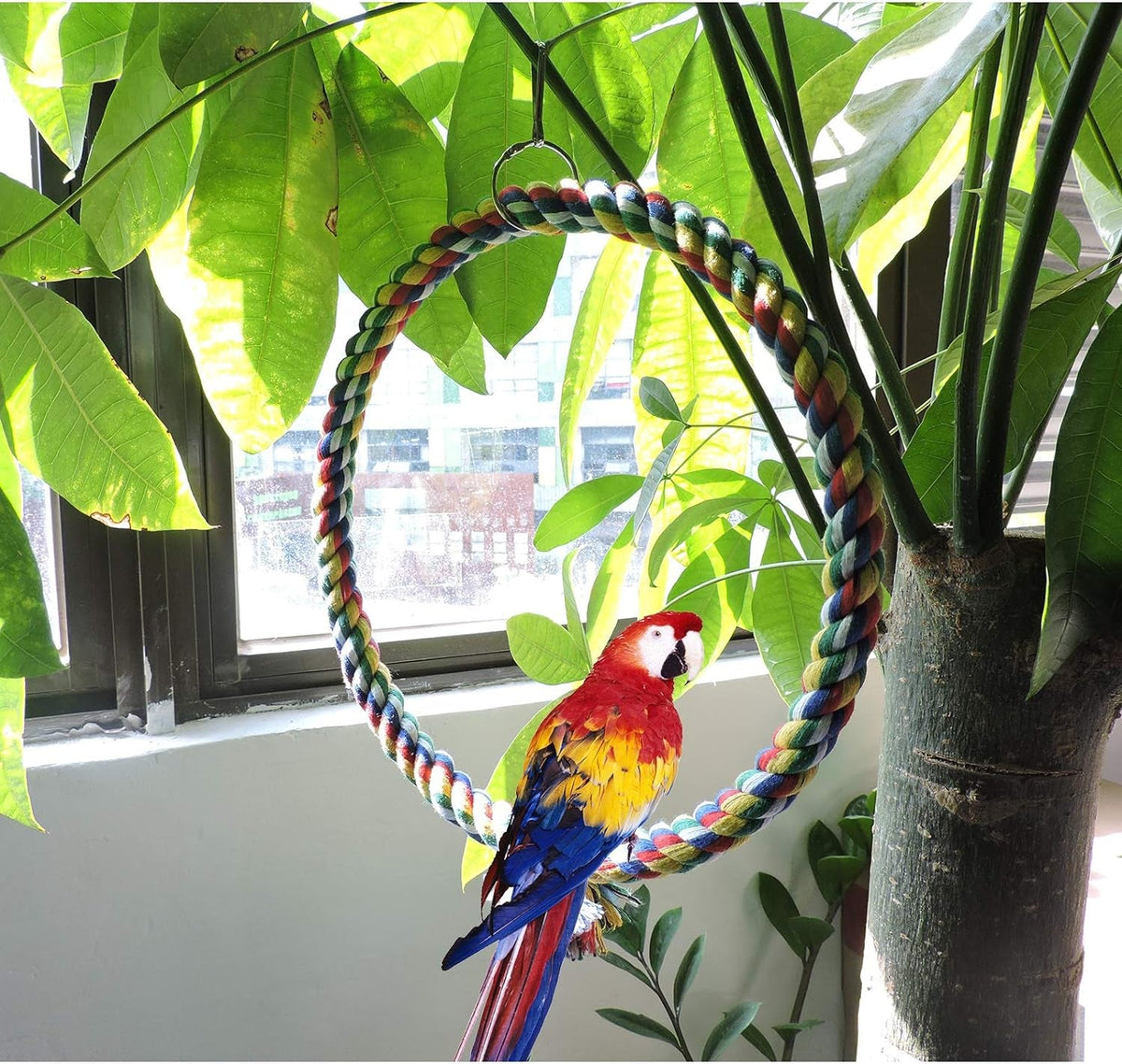 Cotton Rope Bird Swing | Colorful 4-Ring Perch Toy for Parrots, Parakeets, Cockatiels, Budgies & Conures | 25cm MJ's Pet Closet