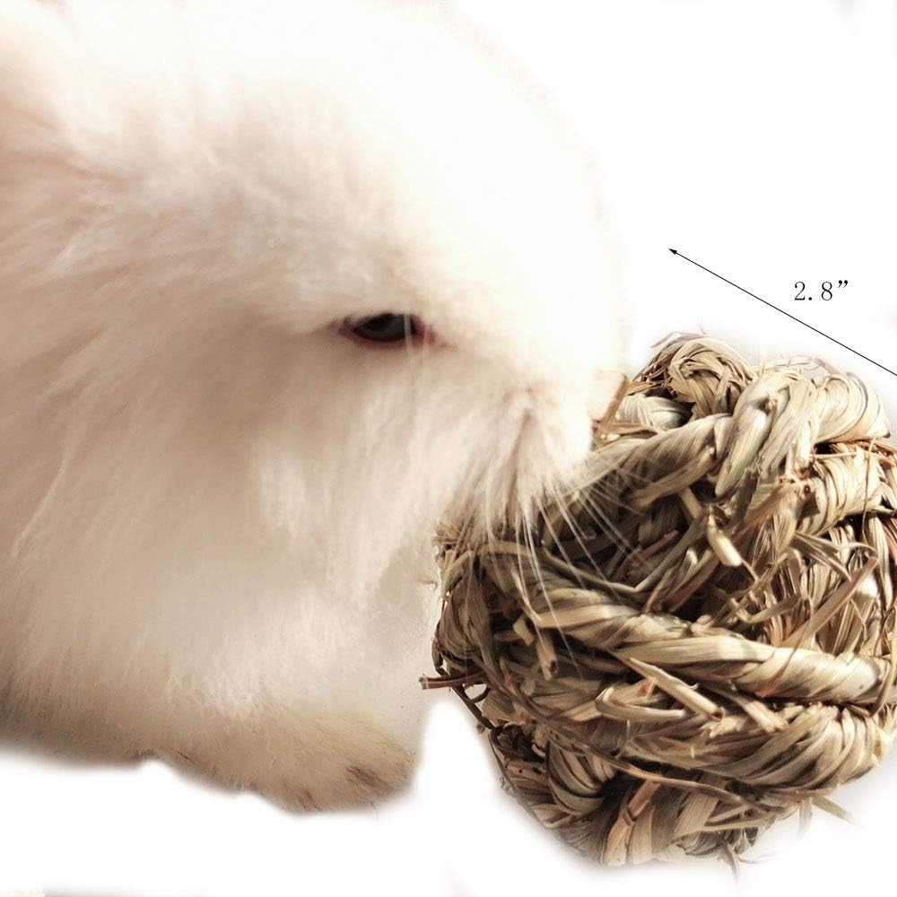 Timothy Grass Chew Ball for Small Pets – 3 Pack MJ's Pet Closet