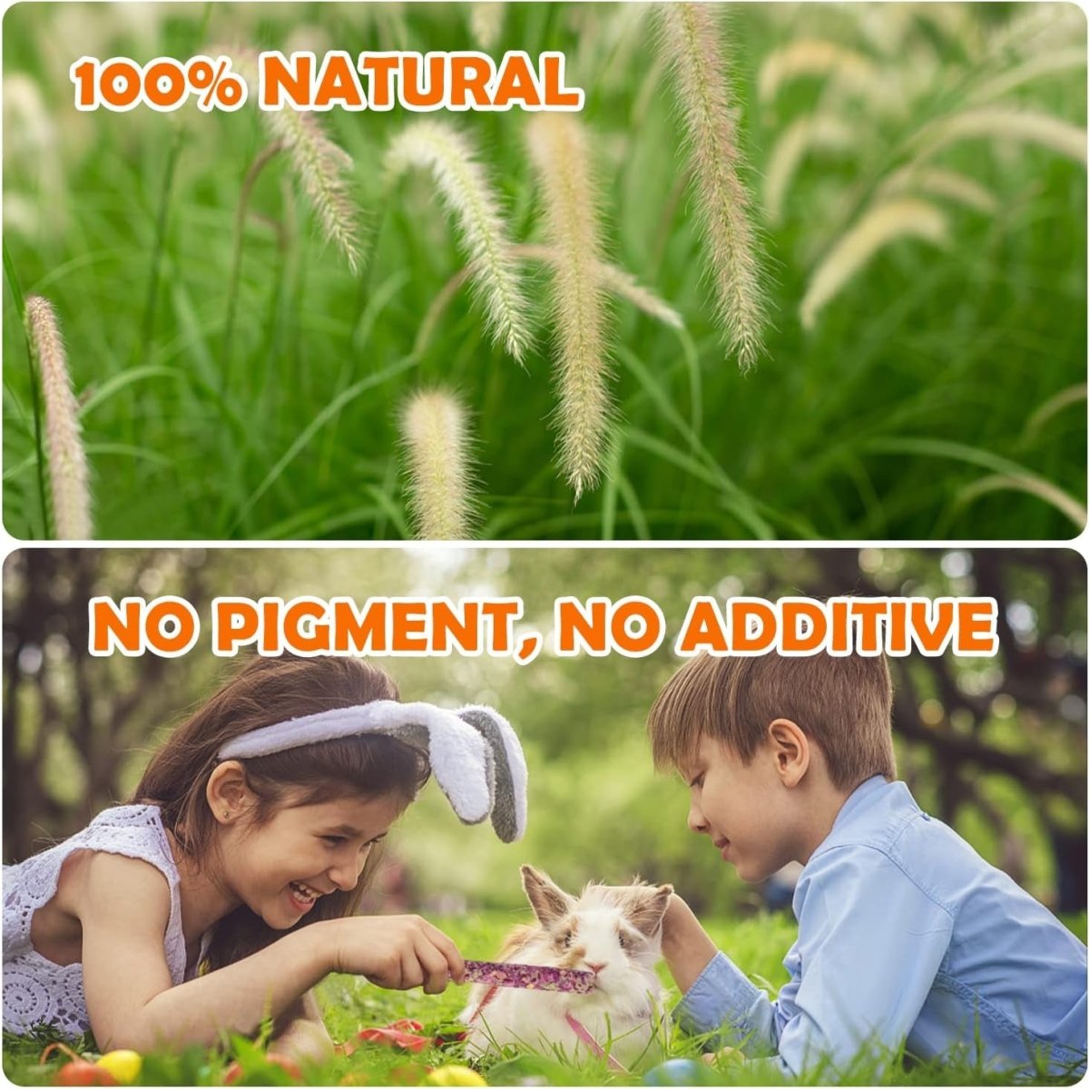 32-Pack Timothy Hay Sticks – Natural Chew Treats for Small Pets MJ's Pet Closet