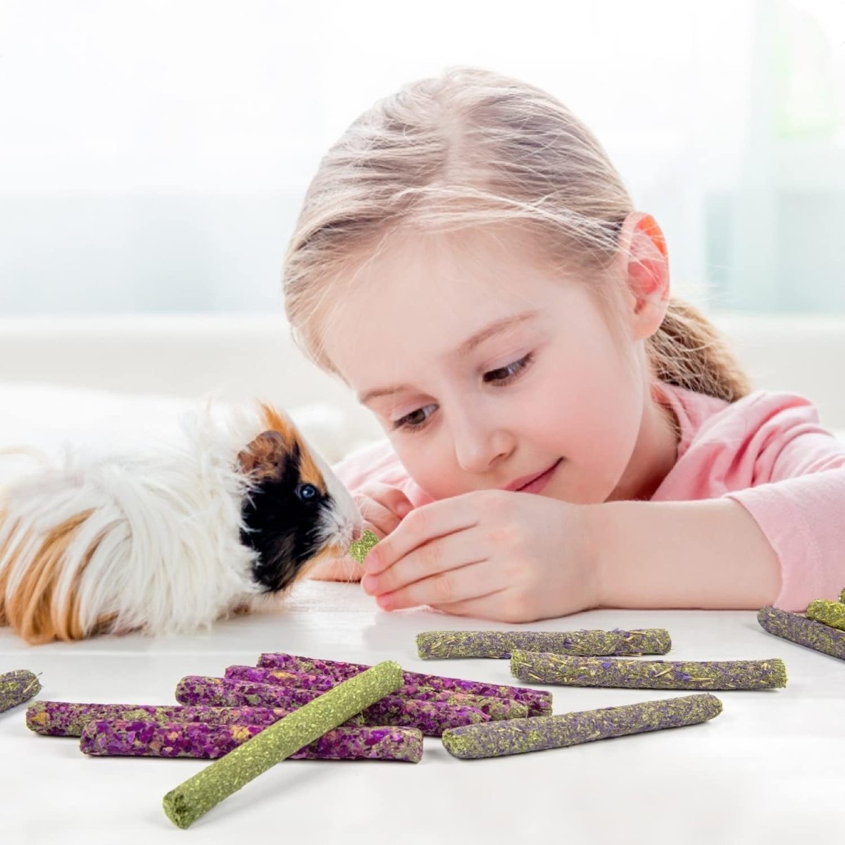 32-Pack Timothy Hay Sticks – Natural Chew Treats for Small Pets MJ's Pet Closet