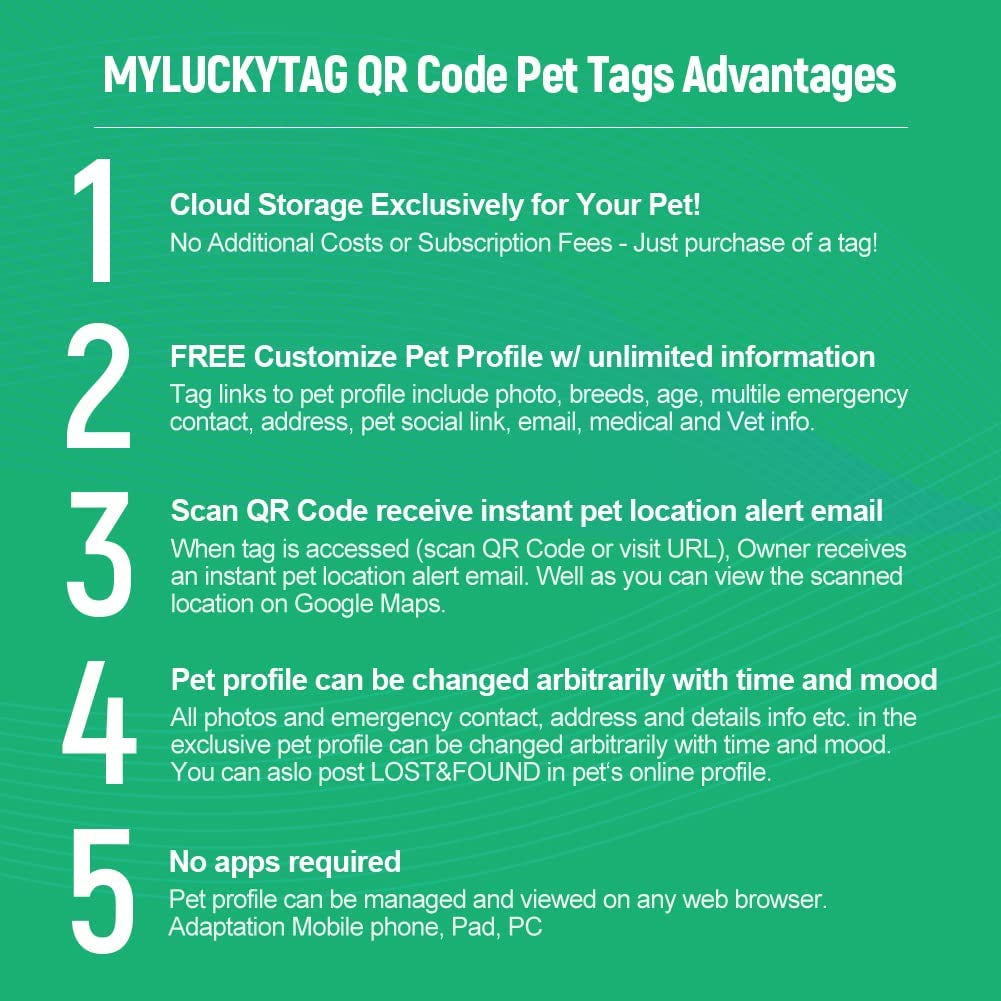 Stainless Steel QR Code Pet ID Tag – Digital Profile & Location Alerts MJ's Pet Closet