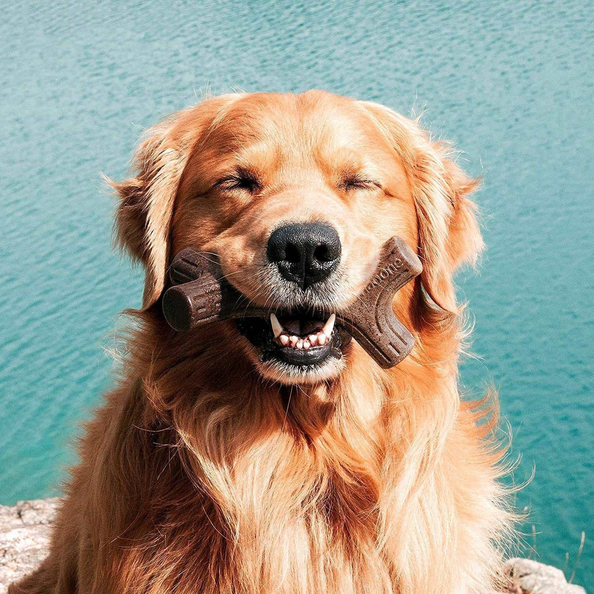 Real Maplewood Dog Chew Toy for Aggressive Chewers – Natural Hardwood Chew Stick | Large MJ's Pet Closet