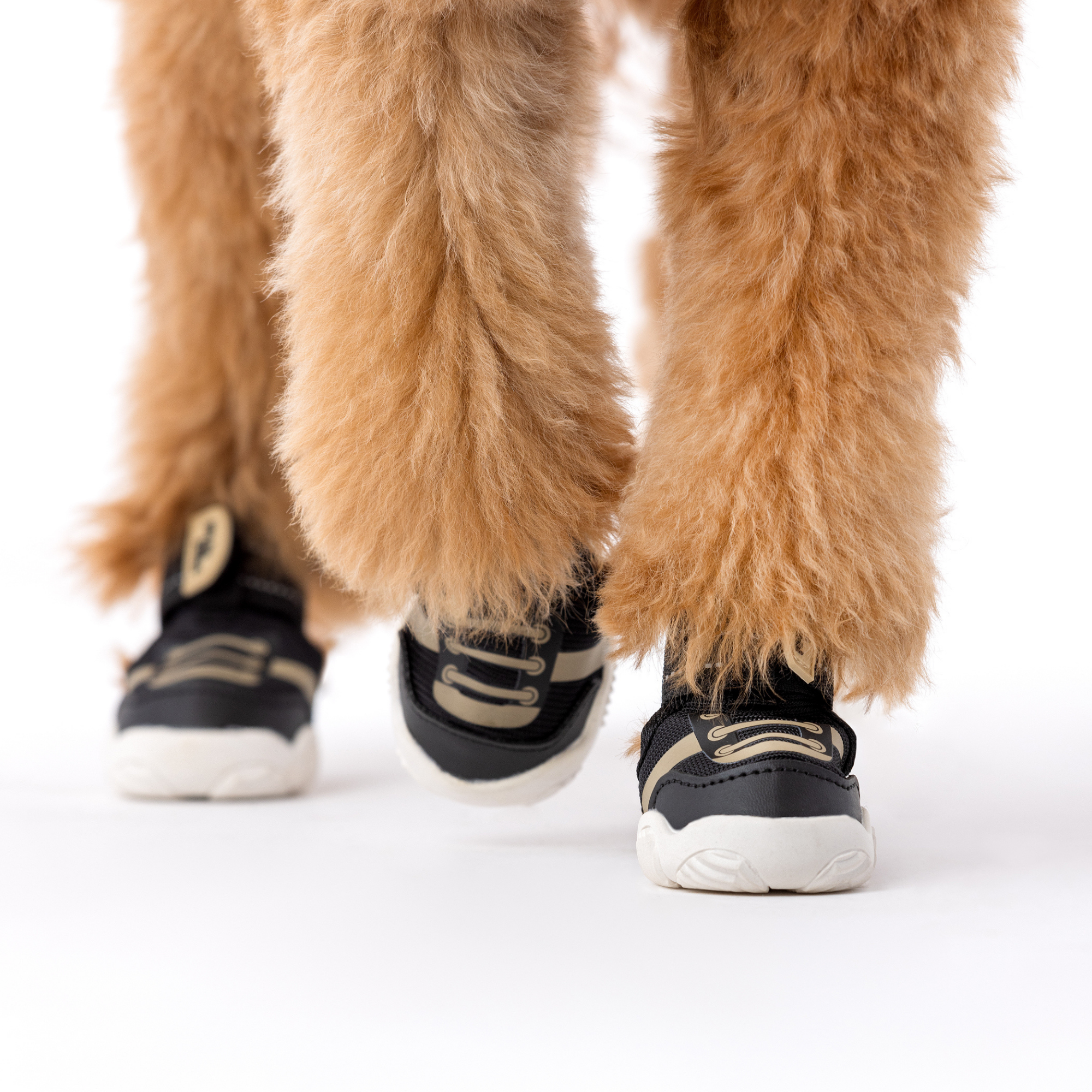 The Kai Dog Sneaker – All-Season Sport Shoes Paws By Kai