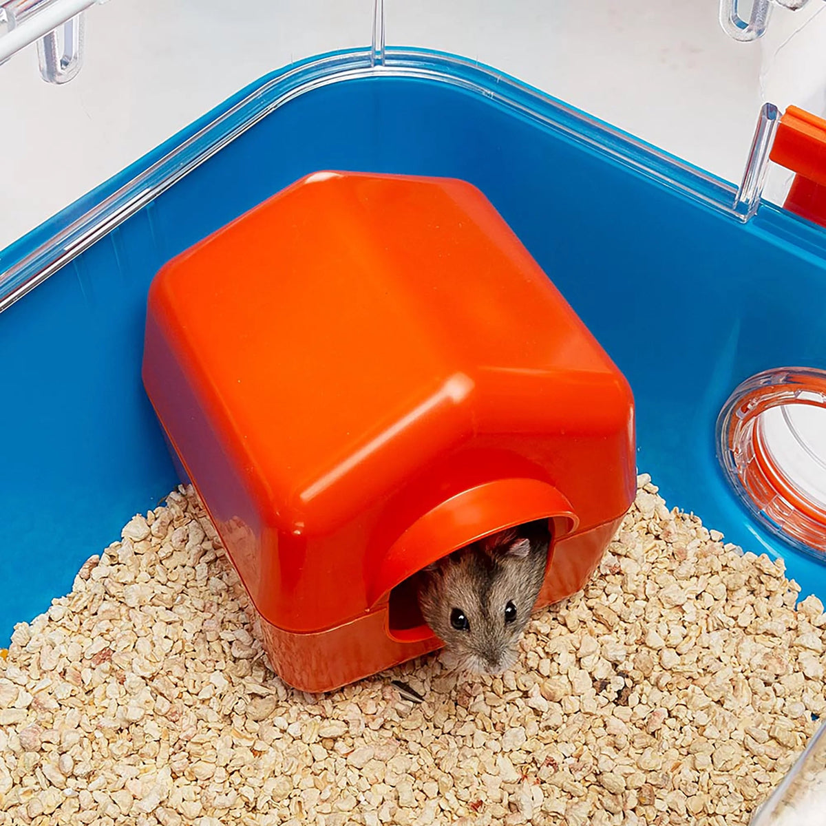 Ferplast Combi 2 Modular Hamster Cage with Accessories – 31.3"L x 11.61"W x 10.35"H | Blue MJ's Pet Closet