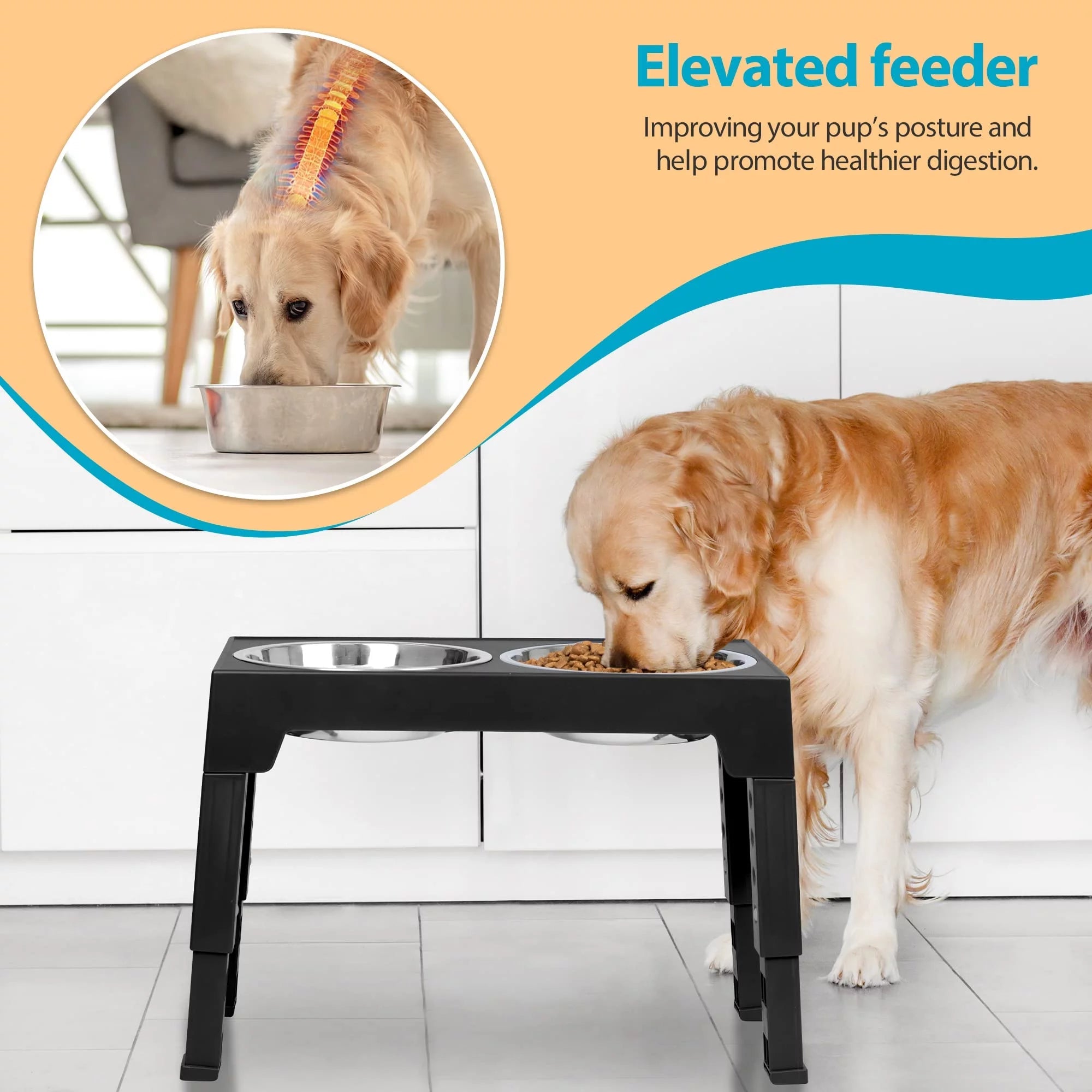 Dog eating from an elevated feeder with a focus on improving posture and digestion.