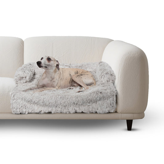 Dog lying on a fluffy pet bed placed on a beige sofa against a white background