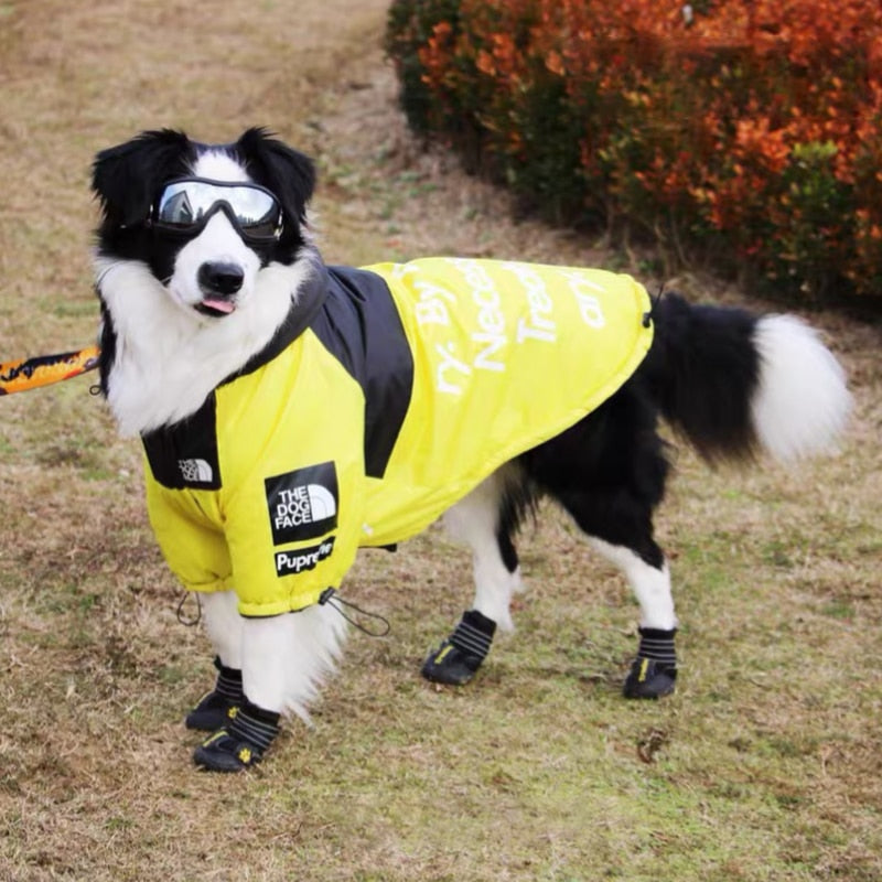 Windproof Waterproof Dog Rain Jacket | Reflective Hooded Raincoat for Dogs & Cats | S–5XL Furr Baby Gifts