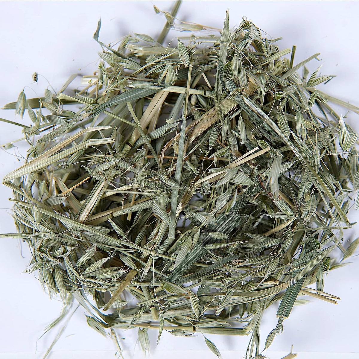 Dry grass hay on a white background