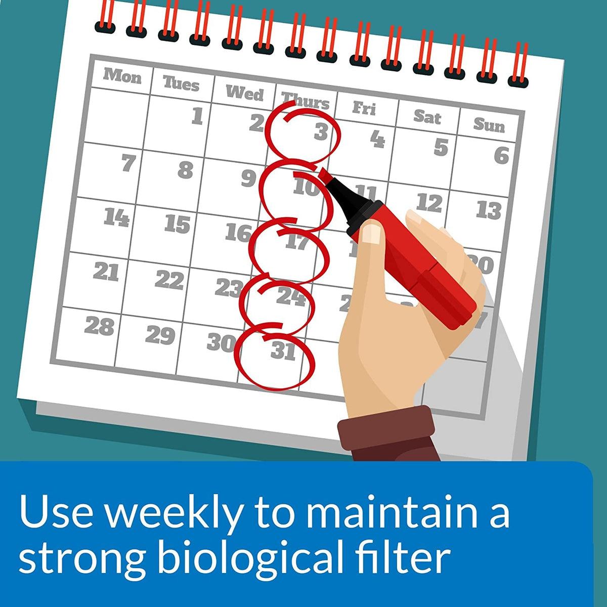Calendar with a hand using a red marker to circulate dates, on a teal background with text.
