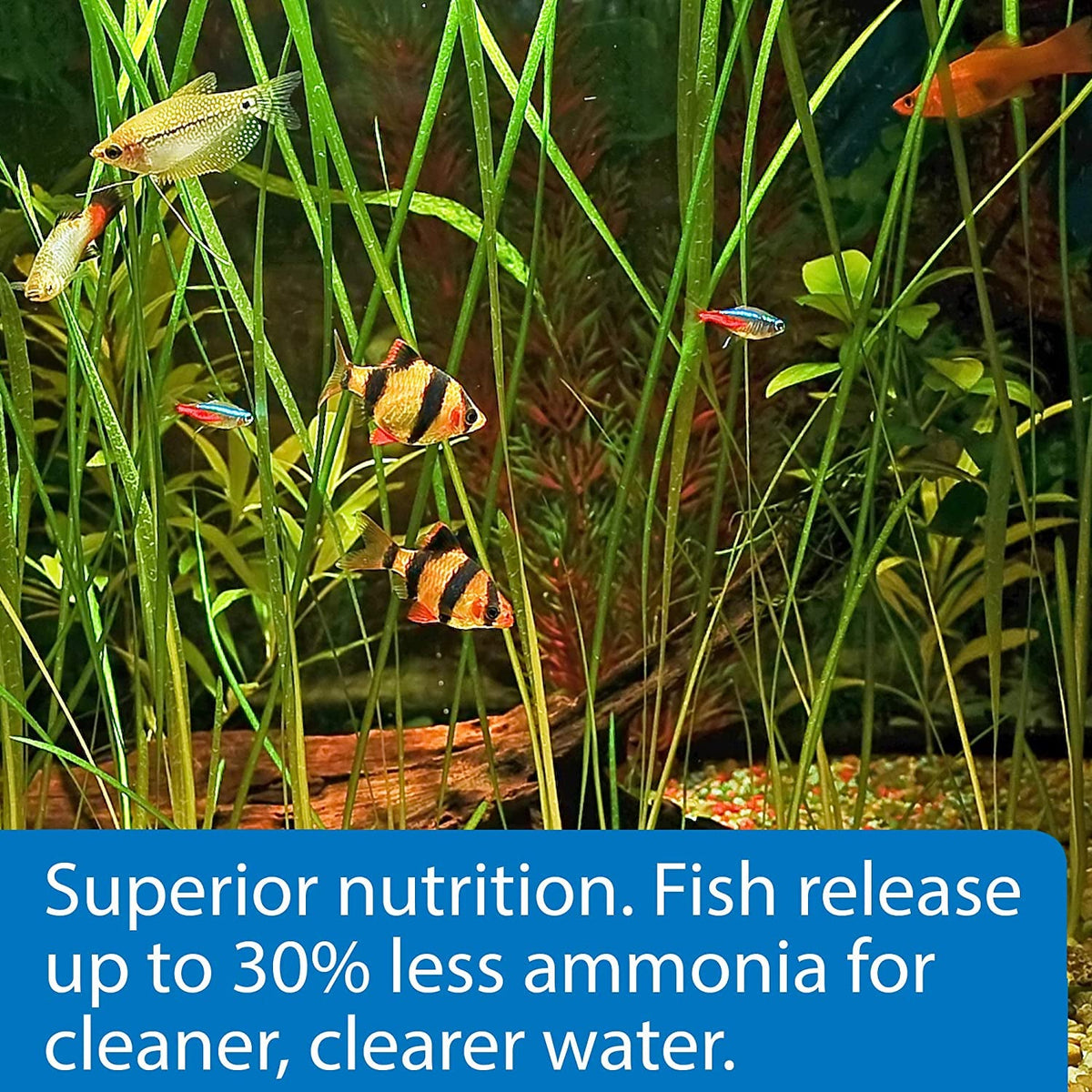 API Tropical Pellets Sinking Fish Food | 4.2 oz | High-Protein Formula for Tropical Community Fish MJ's Pet Closet