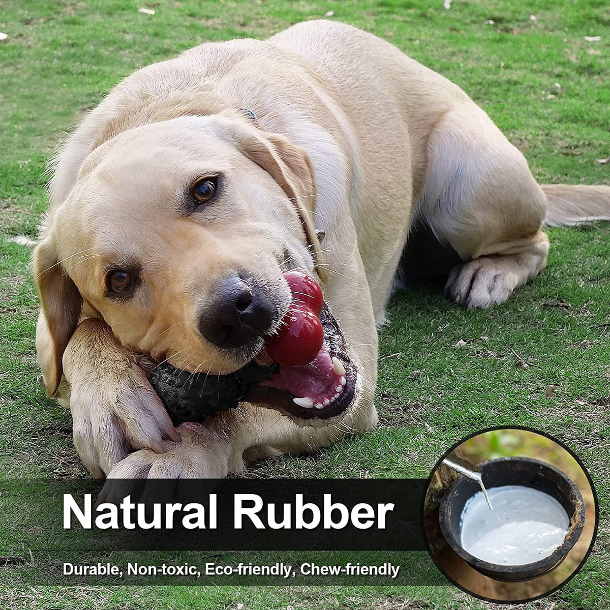 Dinosam Indestructible Dog Bone Toy – Aggressive Chewers MJ's Pet Closet