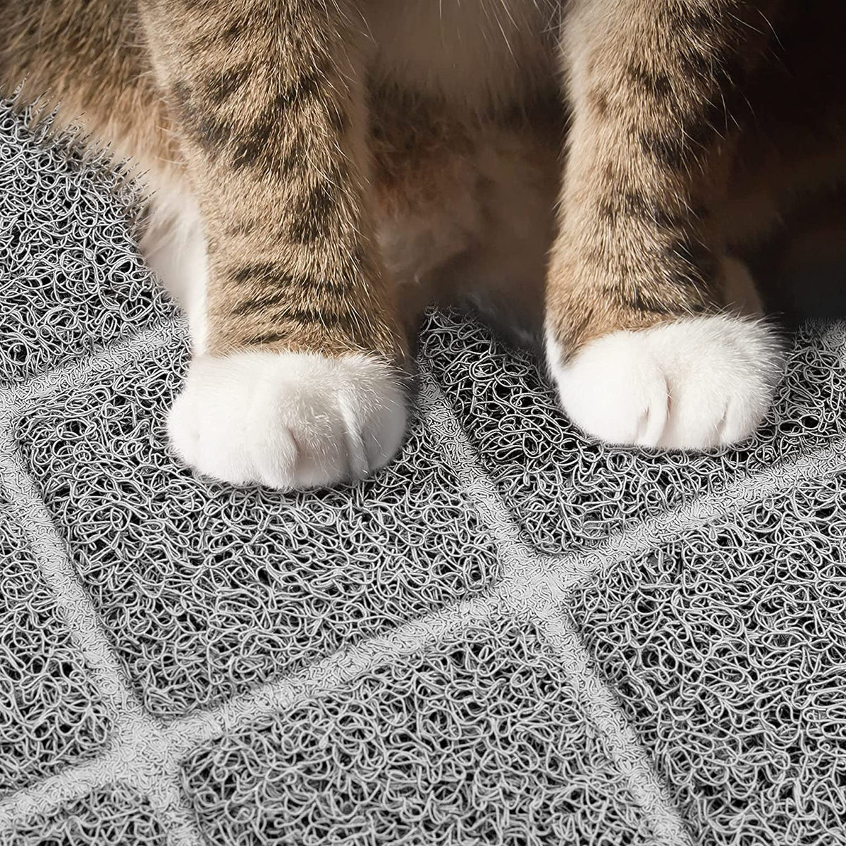 Niubya Large Cat Litter Mat – Dual-Layer Litter Trapping with Waterproof Non-Slip Backing | 35" x 23" MJ's Pet Closet