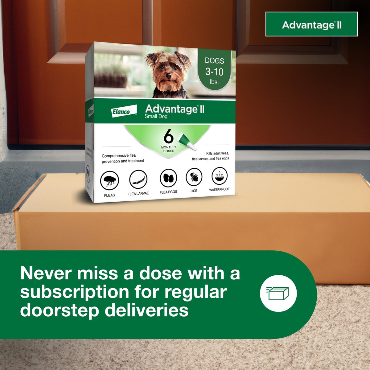 Advantage II Flea Treatment for Small Dogs (3-10 lbs) – 6-Month Supply MJ's Pet Closet