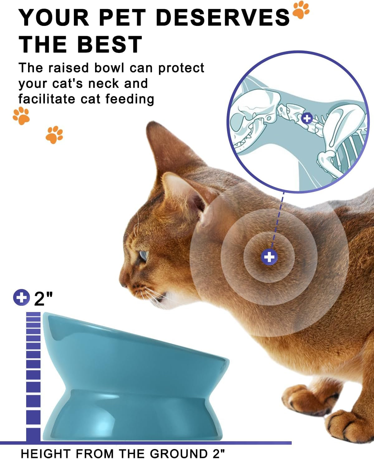 YHY Elevated Ceramic Cat Bowl – Tilted Raised Cat Food Dish for Anti-Vomiting & Neck Relief | Lake Blue MJ's Pet Closet