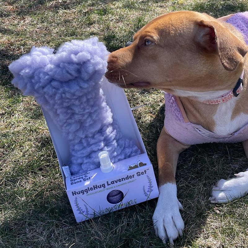 HuggleHug™ Lavender Bone & Calming Spray Set – Anti-Anxiety Dog Toy with Essential Oils HuggleHounds