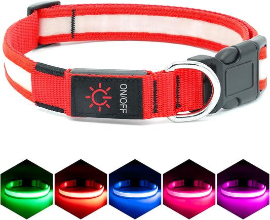 Red dog collar with LED lights in various colors on a white background