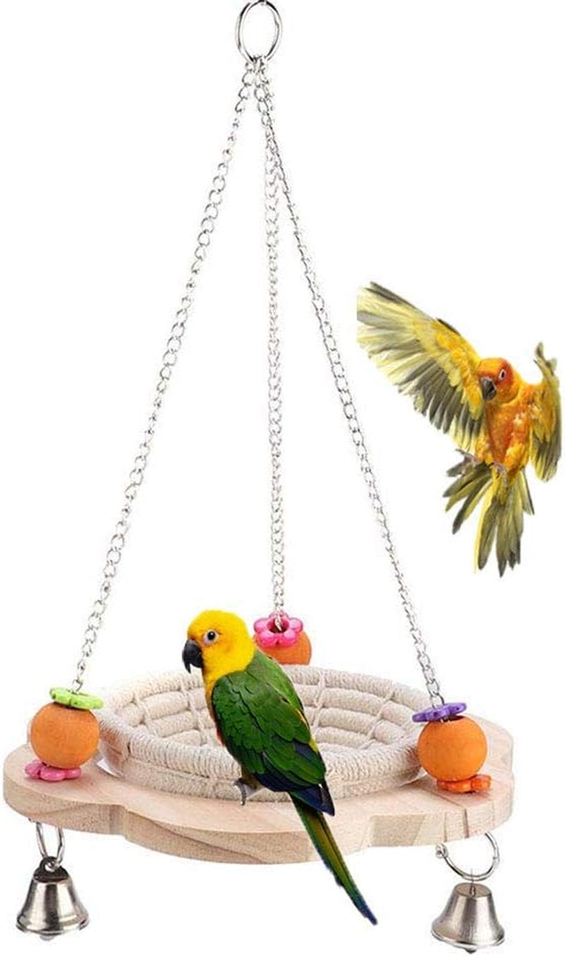 Bird swing with hanging fruits and a bird perched on it against a white background