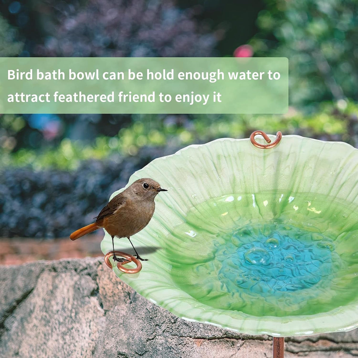 Bird bath bowl with a bird perched on it, surrounded by greenery.
