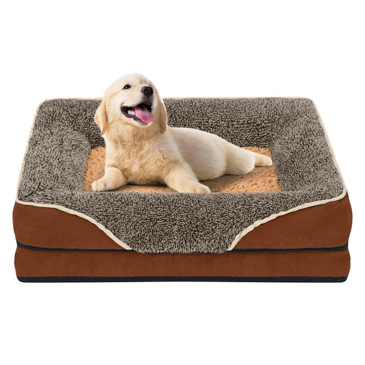 Dog lying on a brown and gray pet bed with a white background