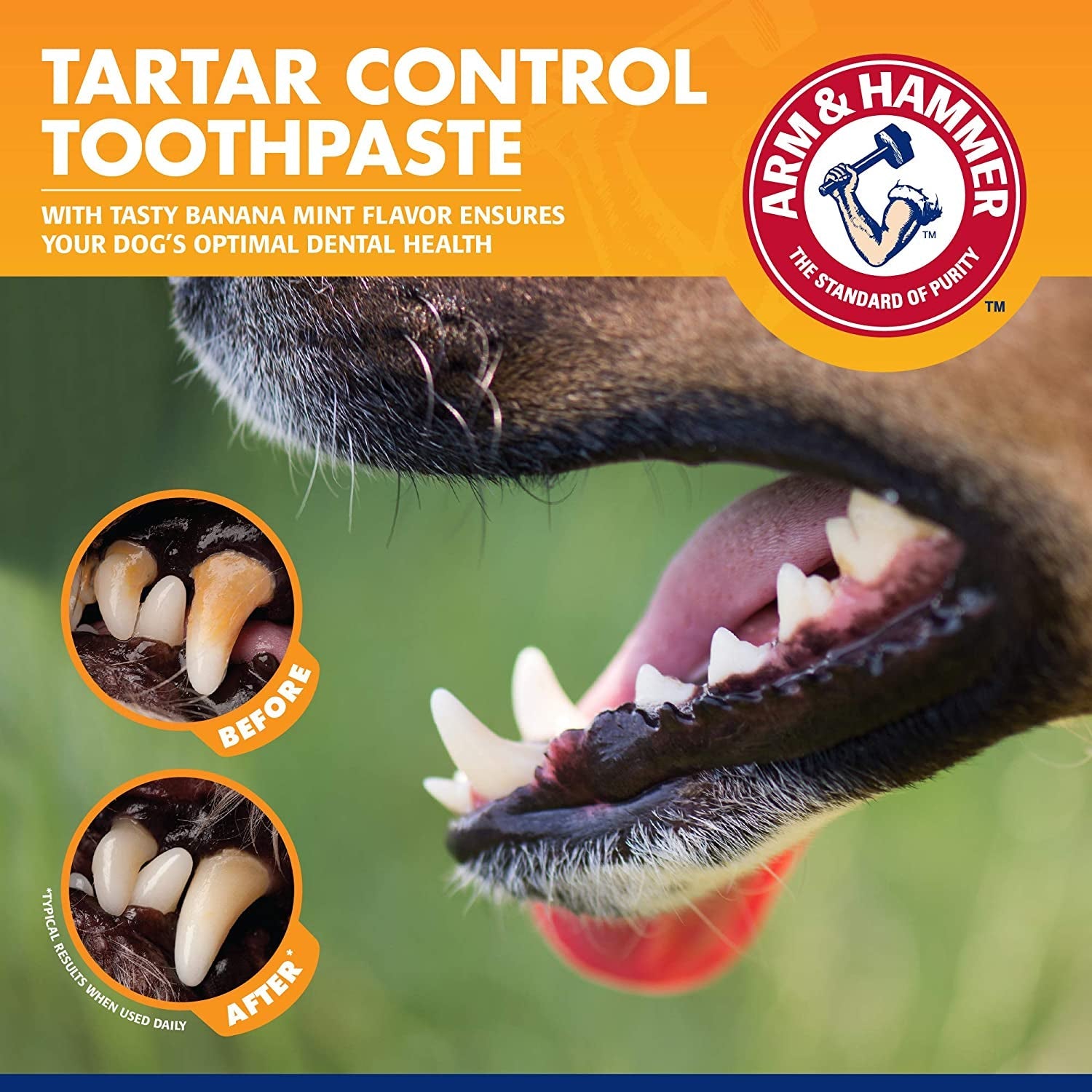 Arm & Hammer Tartar Control Dental Kit for Dogs MJ's Pet Closet