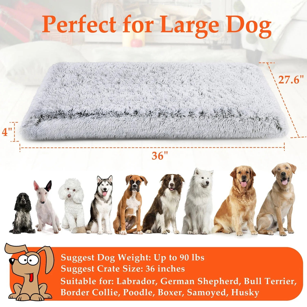 Orthopedic Dog Bed for Large Dogs – Egg Crate Memory Foam with Washable & Waterproof Cover | 36"x28" | Gray MJ's Pet Closet