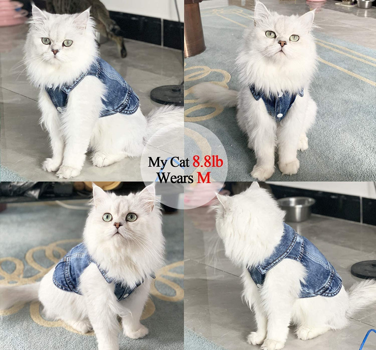 Blue Denim Pet Jacket | Dog & Cat Jean Vest Coat | Button Snap | XS–2XL Furr Baby Gifts