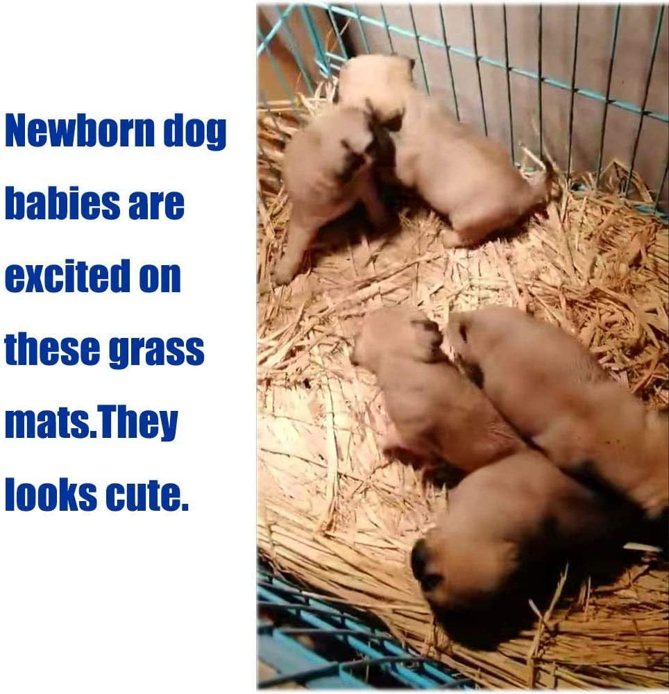 Natural Straw Woven Grass Mats for Small Pets – 12 Pack MJ's Pet Closet
