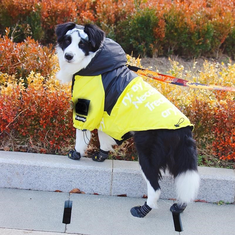 Windproof Waterproof Dog Rain Jacket | Reflective Hooded Raincoat for Dogs & Cats | S–5XL Furr Baby Gifts