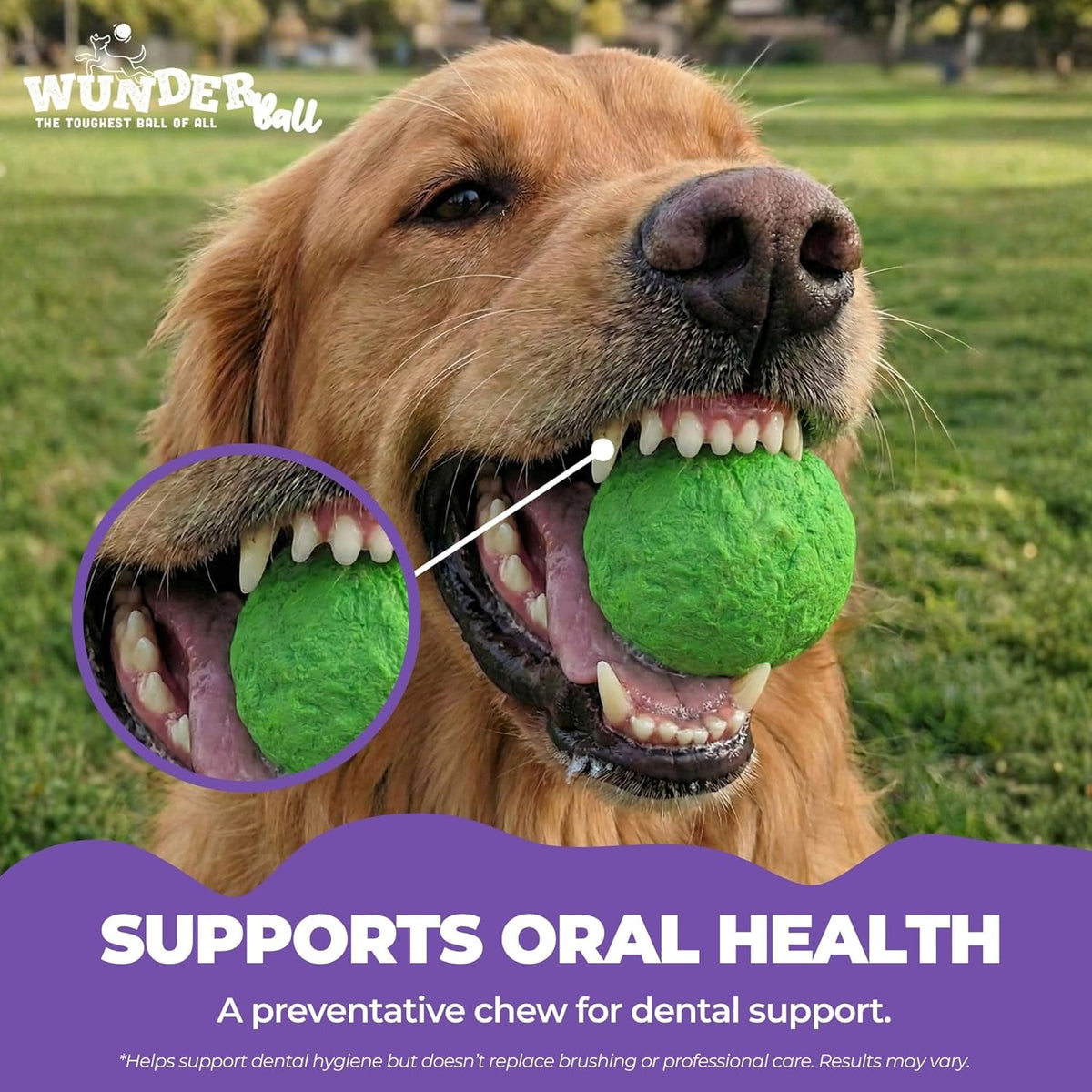 WUNDERball Dog Fetch Toy | 100% Natural Rubber, Floatable & Virtually Indestructible | S–XL WACKYstore
