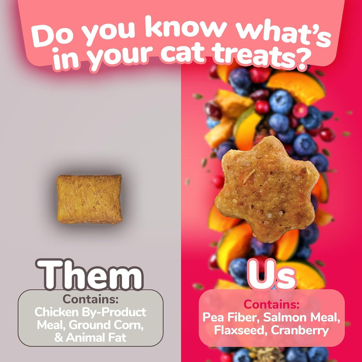 Fruitables Crunchy Cat Treats – Real Salmon & Cranberry with Superfood Ingredients | 2.5 oz MJ's Pet Closet