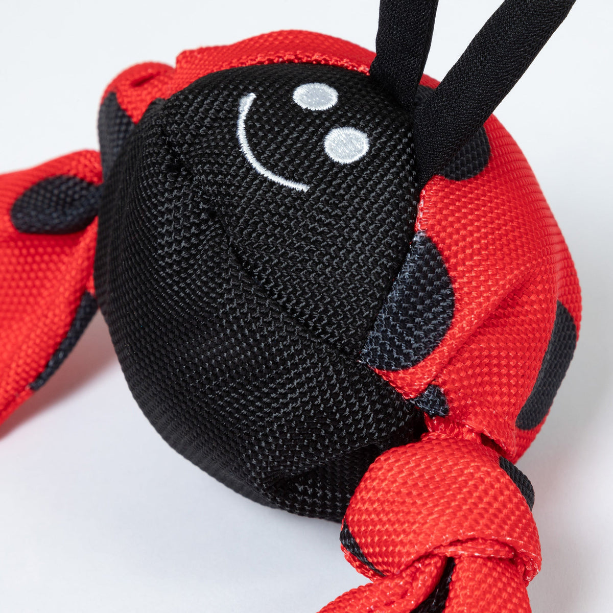 Jolly Pets Jolly Tug™ Insect Dog Toy | Tug-of-War Squeaker Toy | Medium GreaterGood