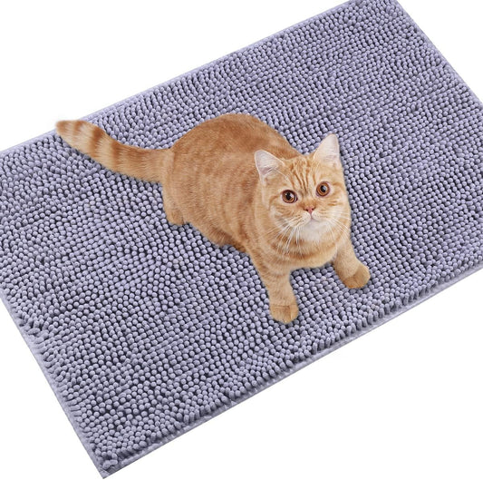Cat sitting on a textured gray mat