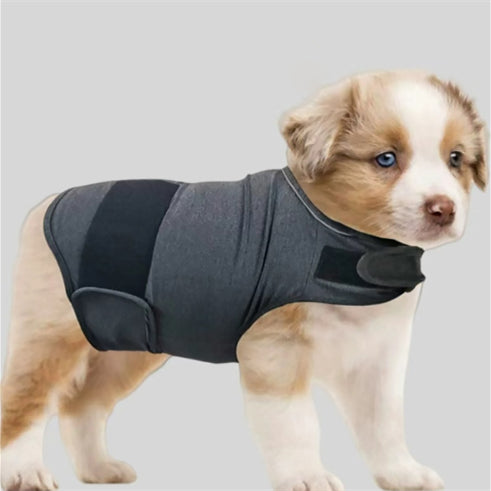 Gray dog anxiety calming vest in soft cotton