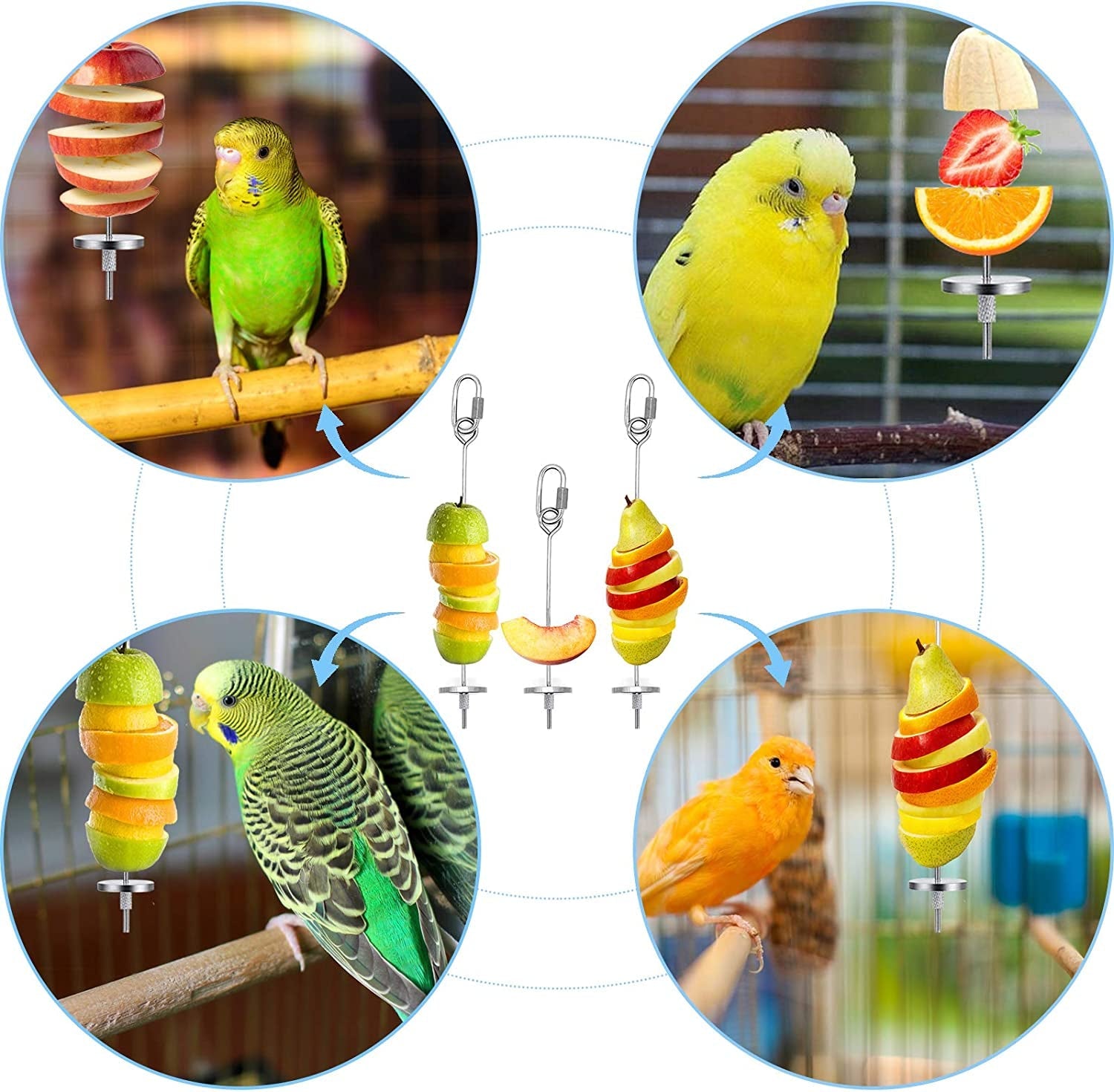 Daoeny 3Pcs Stainless Steel Bird Food Holder MJ's Pet Closet