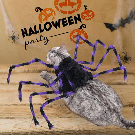Big spider Halloween costume for pets in gray, brown, black, and purple