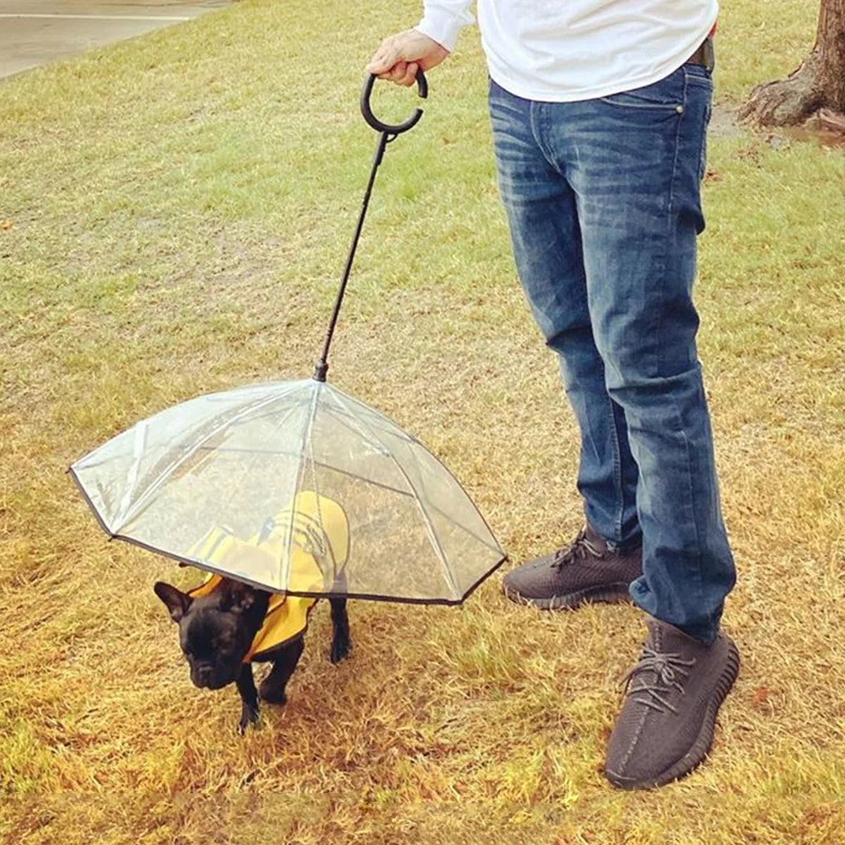 NAMSAN Pet Umbrella for Small Dogs – C-Shape Adjustable Handle with Built-In Leash | 28" Cover | Rain & Snow MJ's Pet Closet