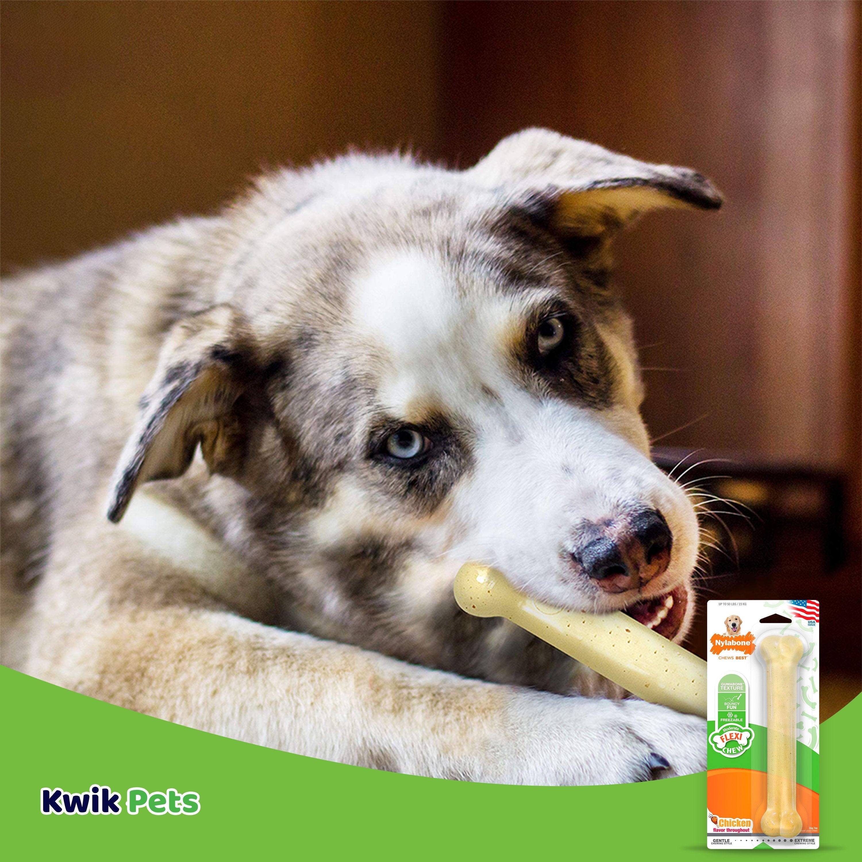 Flexichew Dental Bone – Giant Chicken Flavor for Large Dogs MJ's Pet Closet