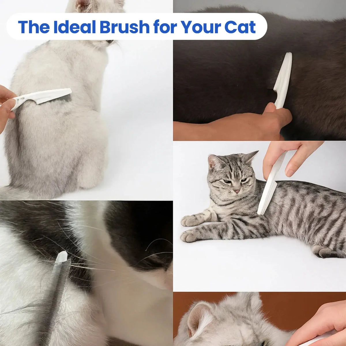 Collage of a cat being groomed with a brush, with text 'The Ideal Brush for Your Cat'.