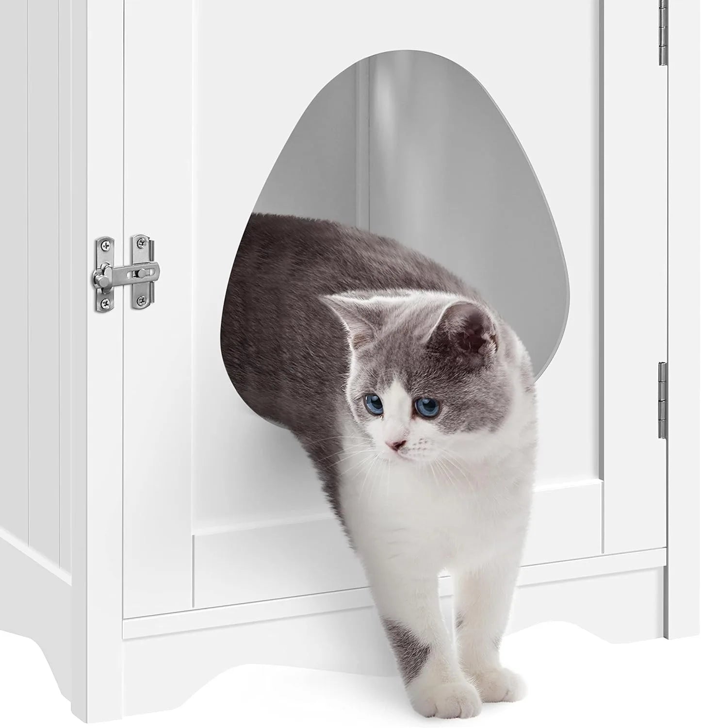 Hidden Cat Litter Box Enclosure