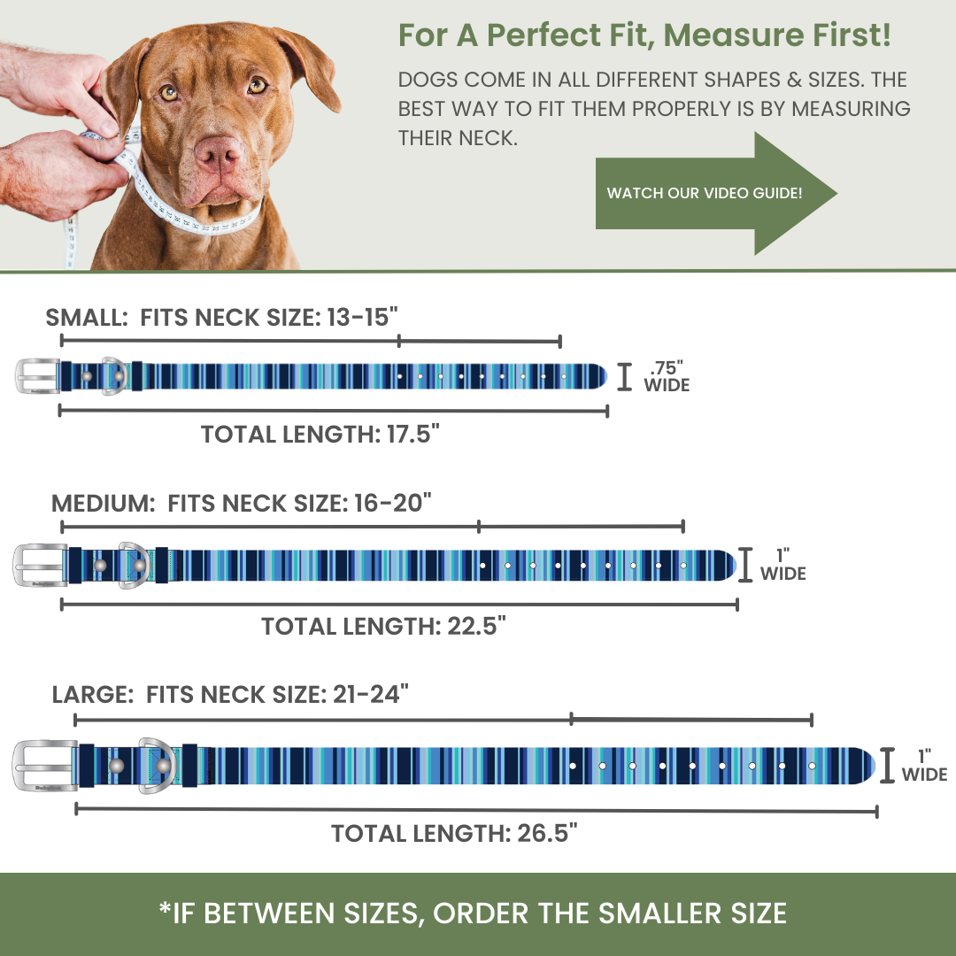Rubyloo Waterproof Dog Collar | Washable, Stink-Proof & Quick-Dry | S/M/L Rubyloo