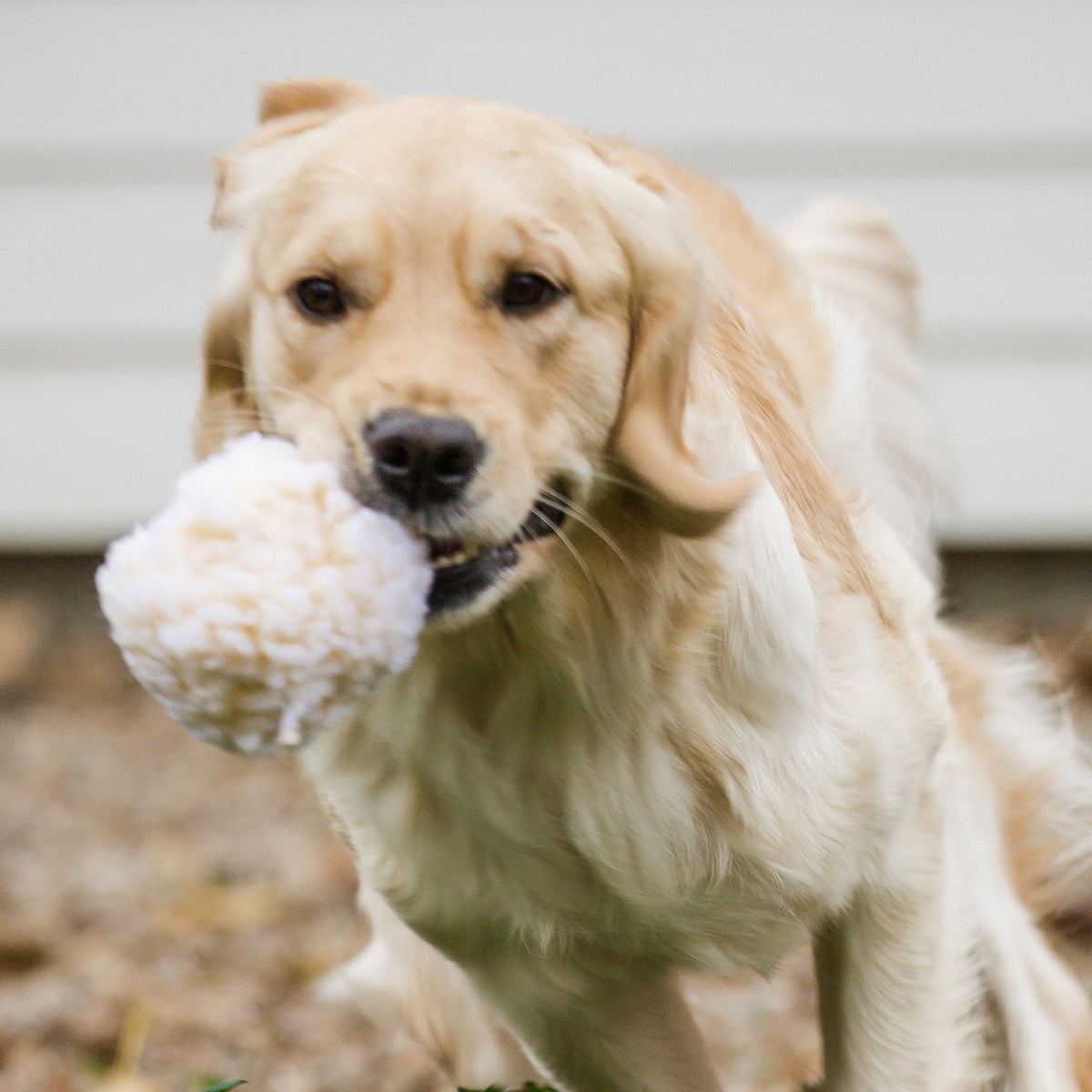 HuggleFleece® Plush Ball Dog Toy — Soft, Washable & Cuddly HuggleHounds