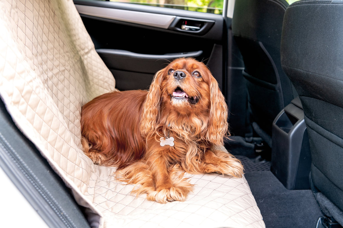 TuffutLuxx® Dog Car Seat Protector – Waterproof, Chew-Proof Travel Cover HuggleHounds