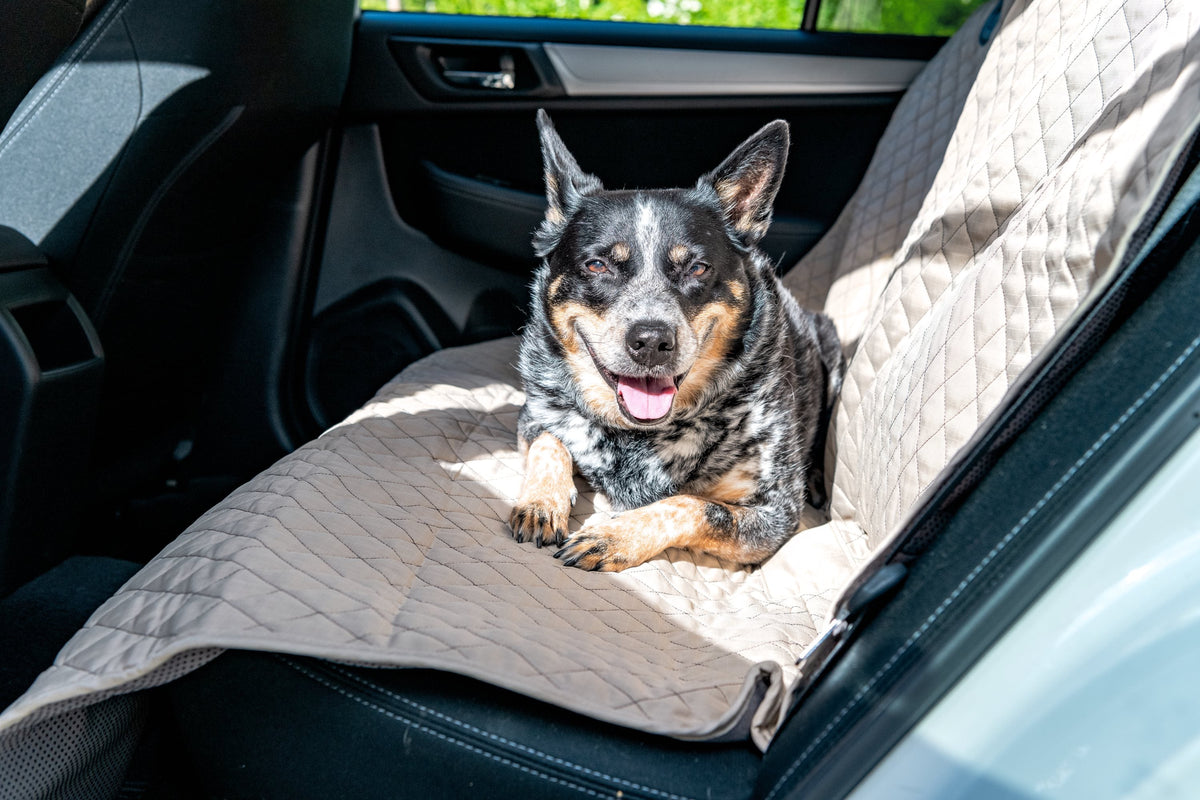 TuffutLuxx® Dog Car Seat Protector – Waterproof, Chew-Proof Travel Cover HuggleHounds