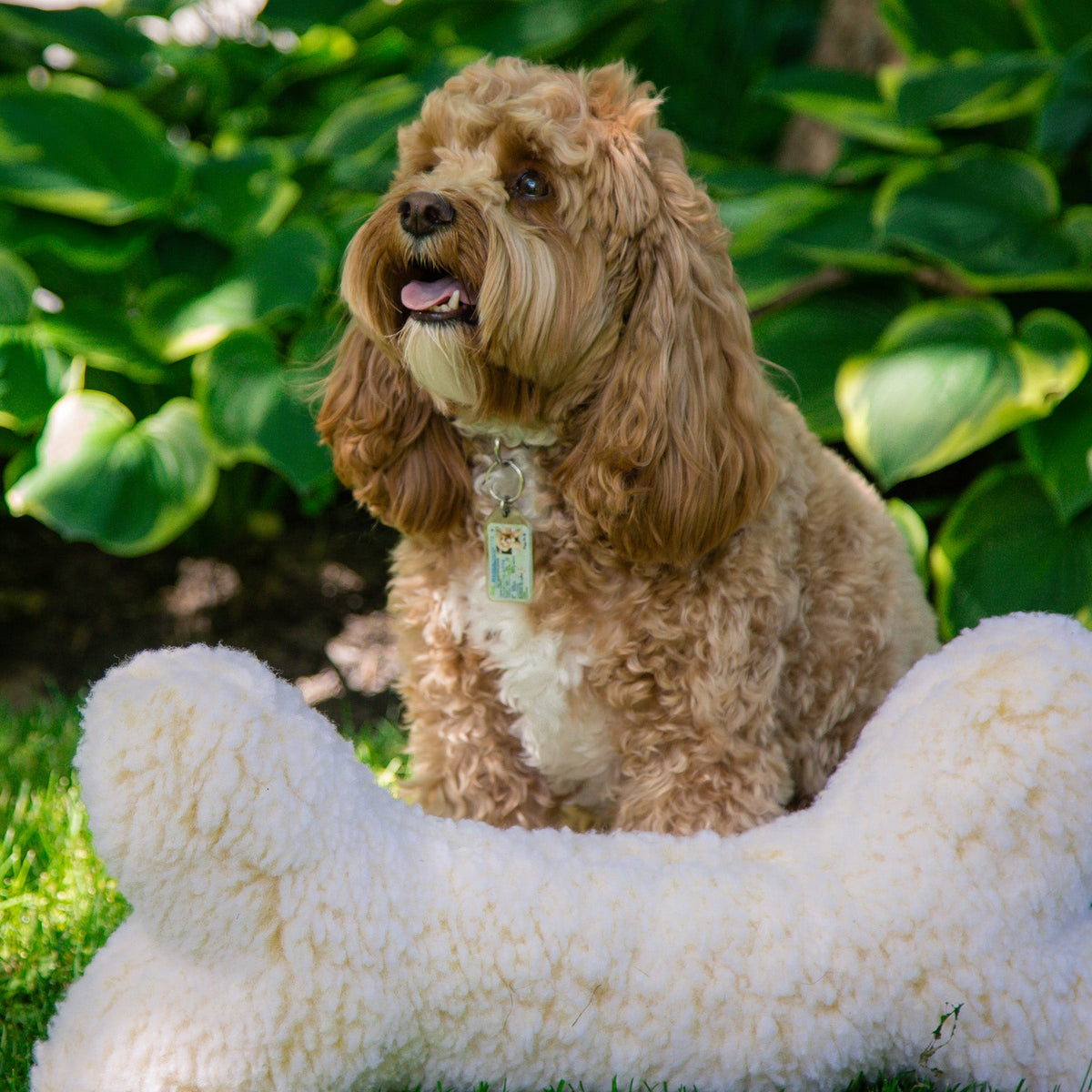 HuggleFleece® 2-Foot Plush Bone Dog Toy — Soft, Washable & Squeaky HuggleHounds