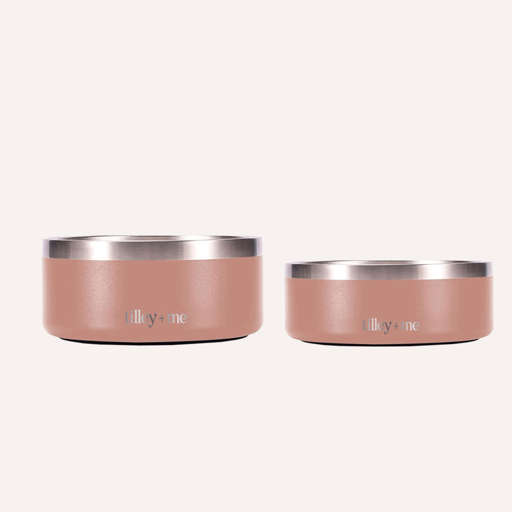 Two pink pet bowls with silver rims on a white background