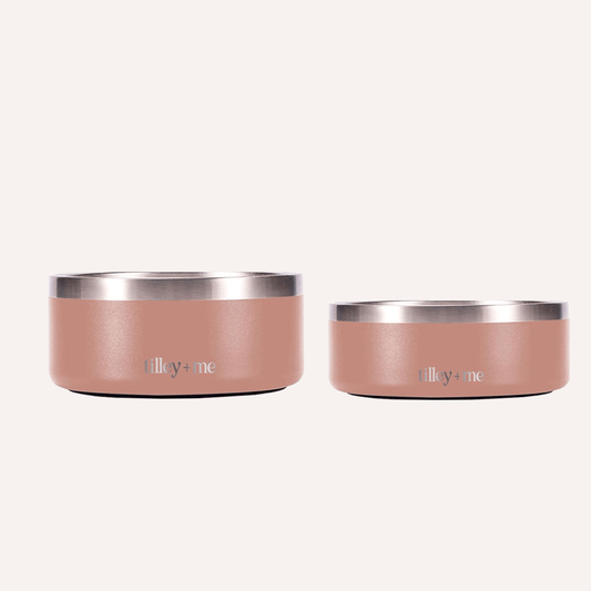 Two pink pet bowls with silver rims on a white background
