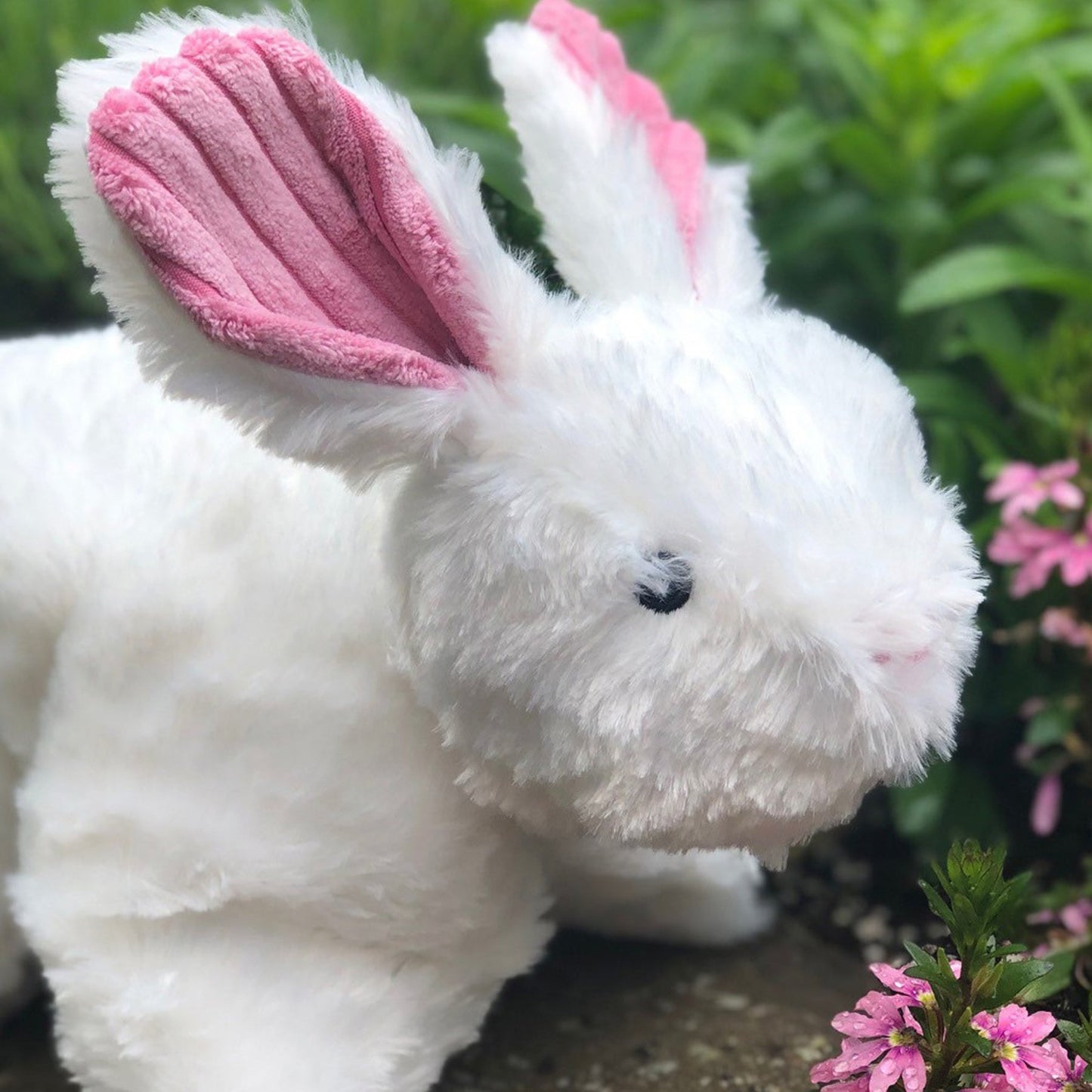 Squooshie™ Bunny Plush Dog Toy